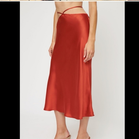 Dynamite Midi Skirt - Picture 3 of 6